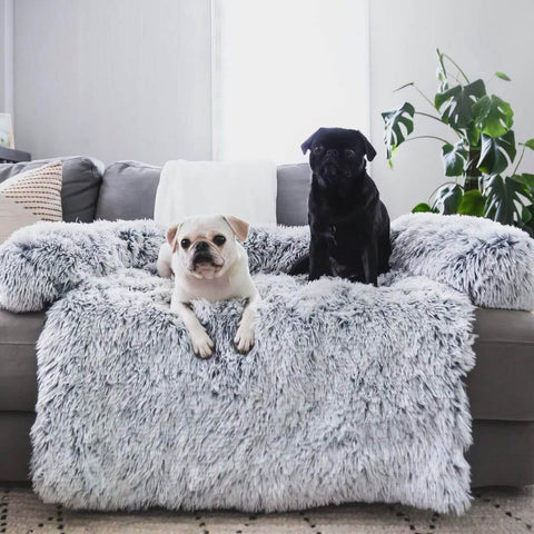 Deux petits chiens relax sur le canapé avec une housse toute douce pour chiens et chats