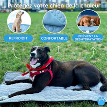Charger l'image dans la galerie, MrFluffyFriend® - Tapis rafraîchissant pour chien