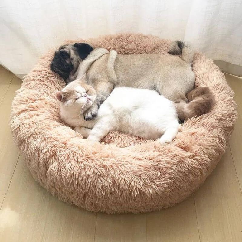 Coussin Anti-stress Pour Chien MrFluffyFriend™ - Donut En Peluche Lavable, Tailles XS à XXL - Pour Réduire L'anxiété Et Les Douleurs Articulaires