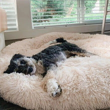 Charger l'image dans la galerie, MrFluffyFriend™ - Coussin Anti-Stress Pour Chien