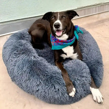 Charger l'image dans la galerie, MrFluffyFriend™ - Coussin Anti-Stress Pour Chien