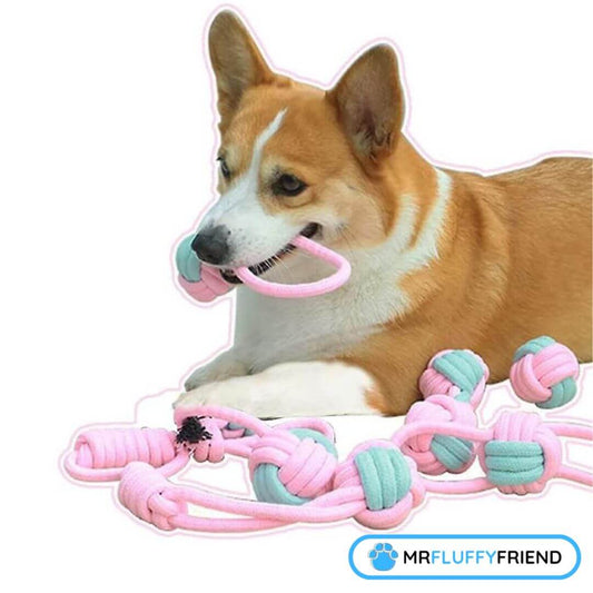 Nettoyage des dents pour les chiens