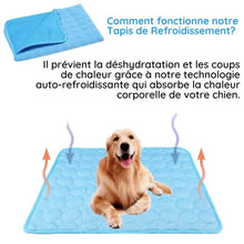 Charger l&#39;image dans la galerie, MrFluffyFriend™ - Tapis Refroidissant Ultime pour les Animaux
