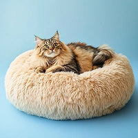 Photo of Coussin Anti-Stress Pour Chat