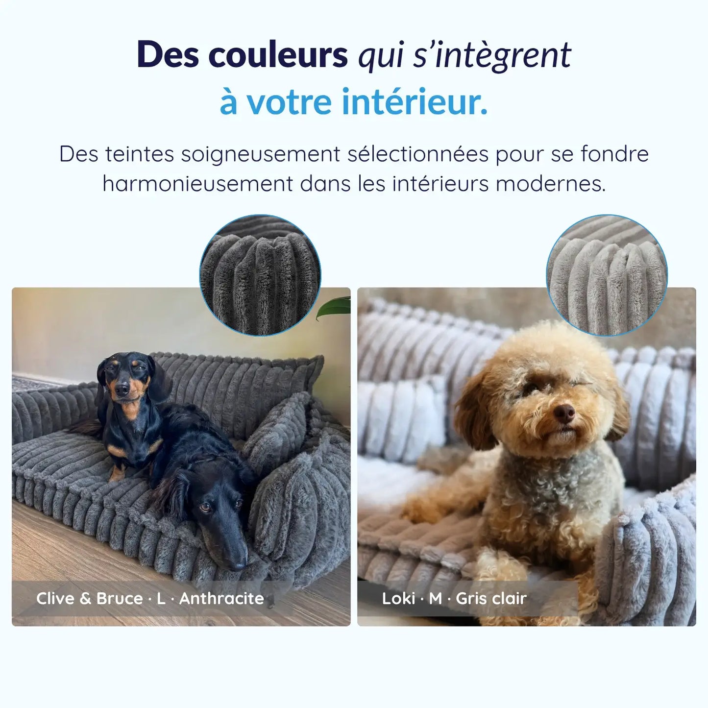 MrFluffyFriend® - Canapé Design Pour Chien