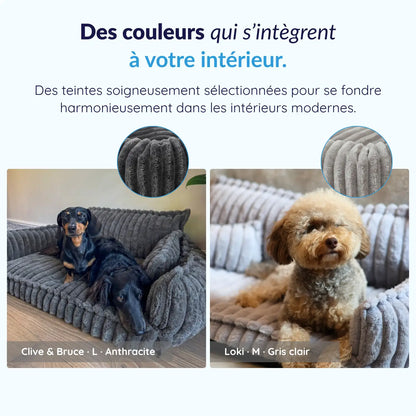 MrFluffyFriend® - Canapé Design Pour Chien