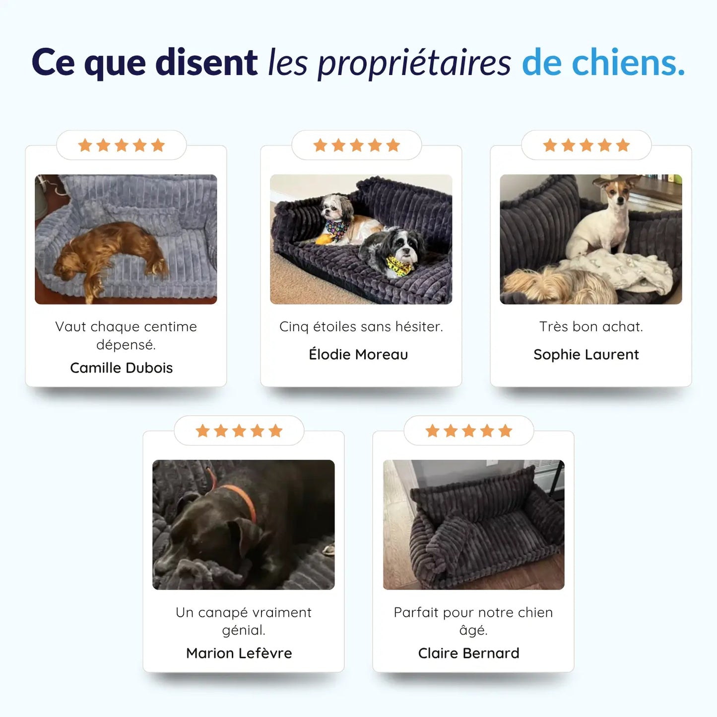 MrFluffyFriend® - Canapé orthopédique lavable pour chien