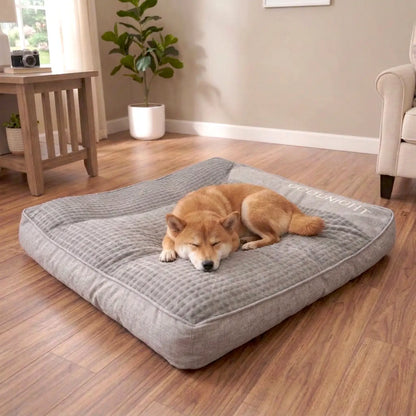 MrFluffyFriend - Le Meilleur Coussin Pour Chiens