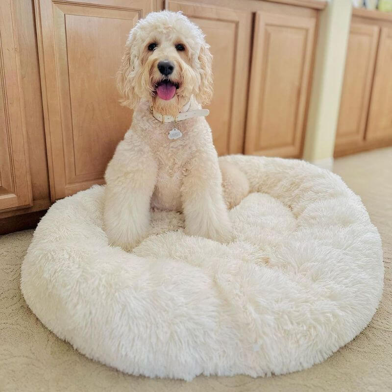 MrFluffyFriend™ - Coussin Anti-Stress Pour Chien