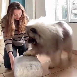 Scr 20250606 hrds mff e52463af ddde 4160 9cf0 806755d9f84f