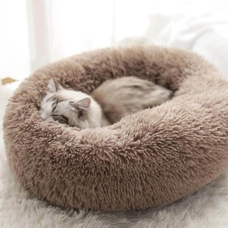 MrFluffyFriend® - Coussin Anti-Stress Pour Chat